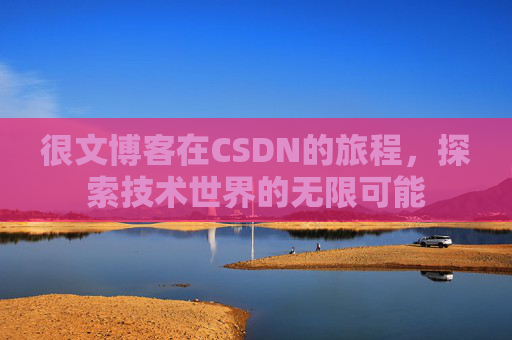 很文博客在CSDN的旅程，探索技术世界的无限可能